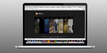 思奕偉業(yè)官網(wǎng)國際站設(shè)計(jì) 以簡潔大氣構(gòu)筑全球商業(yè)橋梁